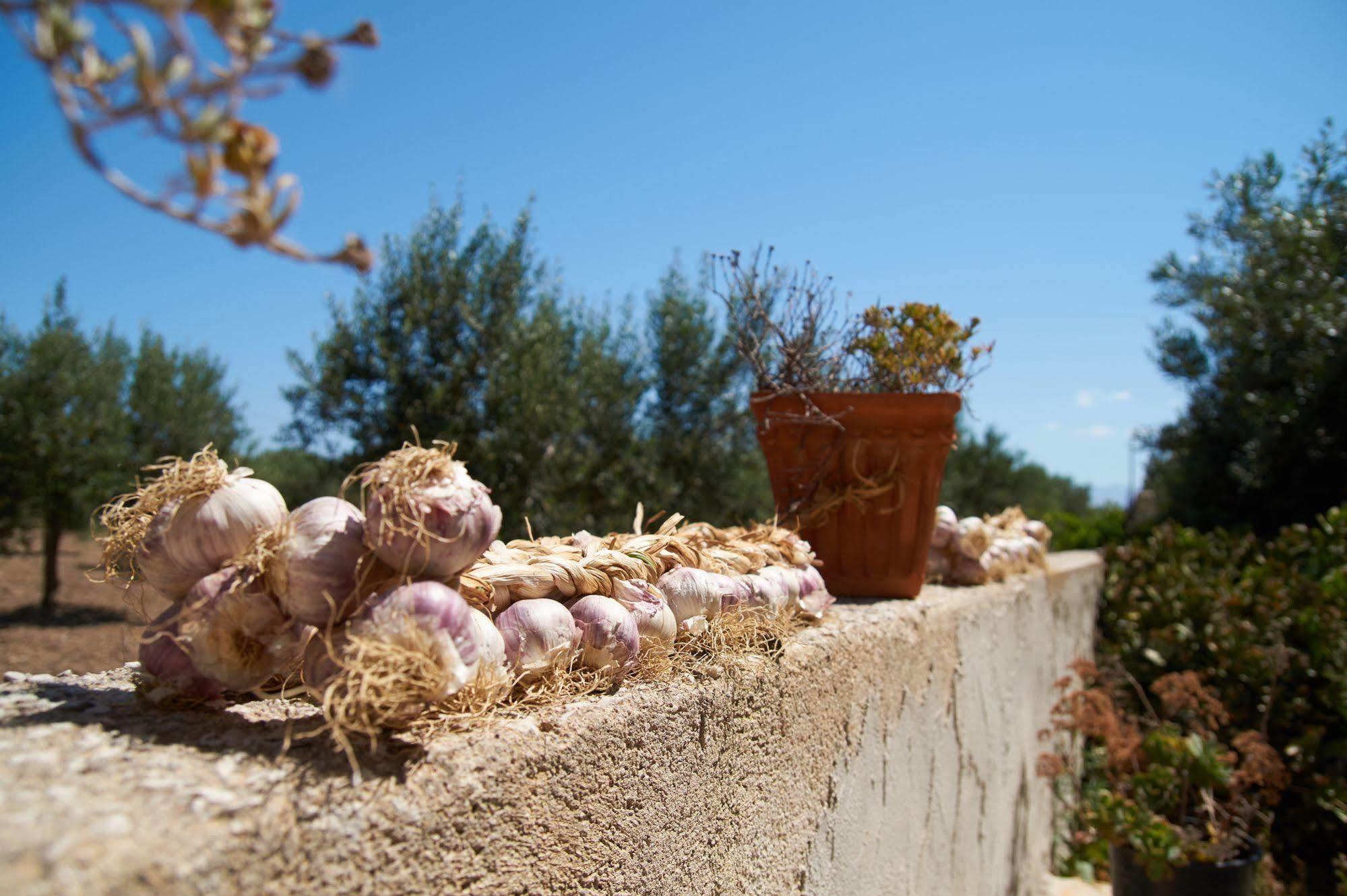 Bed and Breakfast Casolare Nelle Saline Torre Nubia Екстер'єр фото