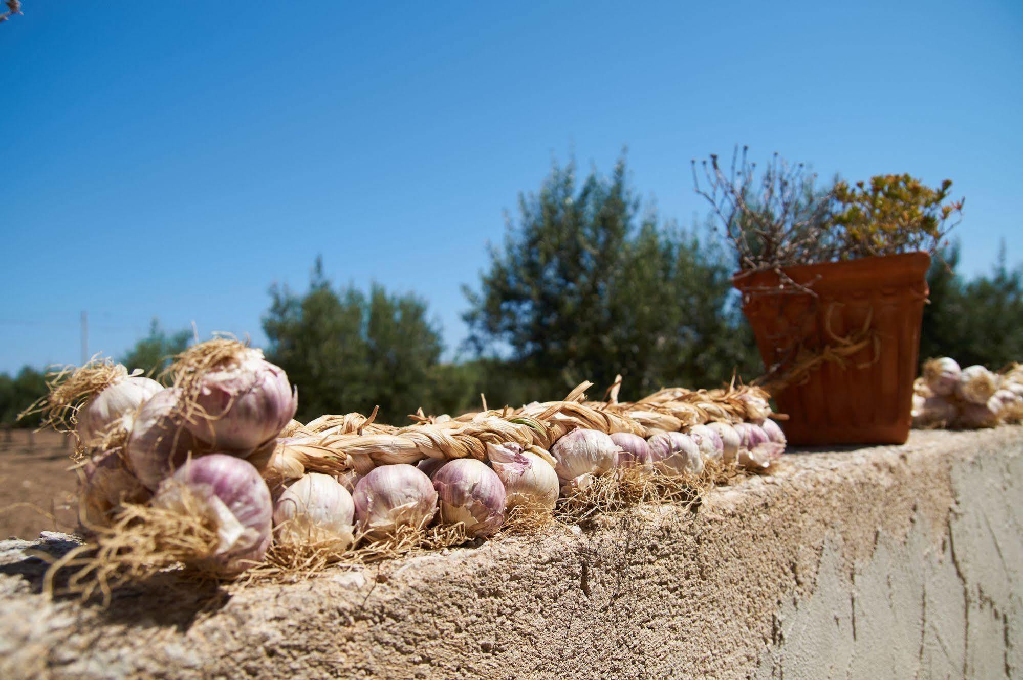 Bed and Breakfast Casolare Nelle Saline Torre Nubia Екстер'єр фото